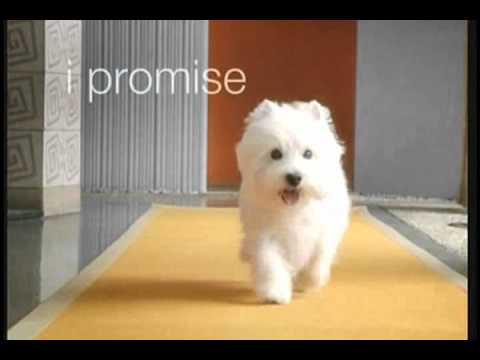 Nissan commercial that not a real puppy #5