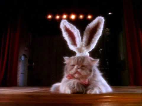 Cadbury Bunny Commercial Original