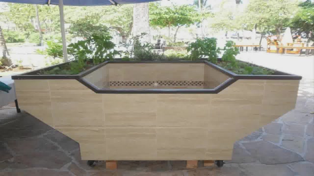 Indoor Aquaponics System