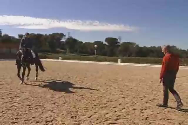  - ZjhiMGFkZTY2MA==_o_jean-bemelmans-training-jordi-domingo-riding-prestige-