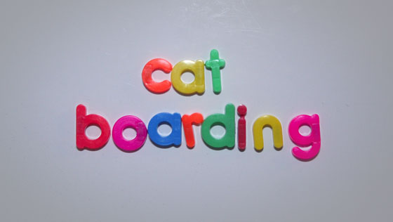  - NTM2NDUzMTUz_o_word-of-the-day---cat-boarding-jason-pestell