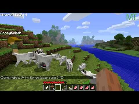 Compass Minecraft